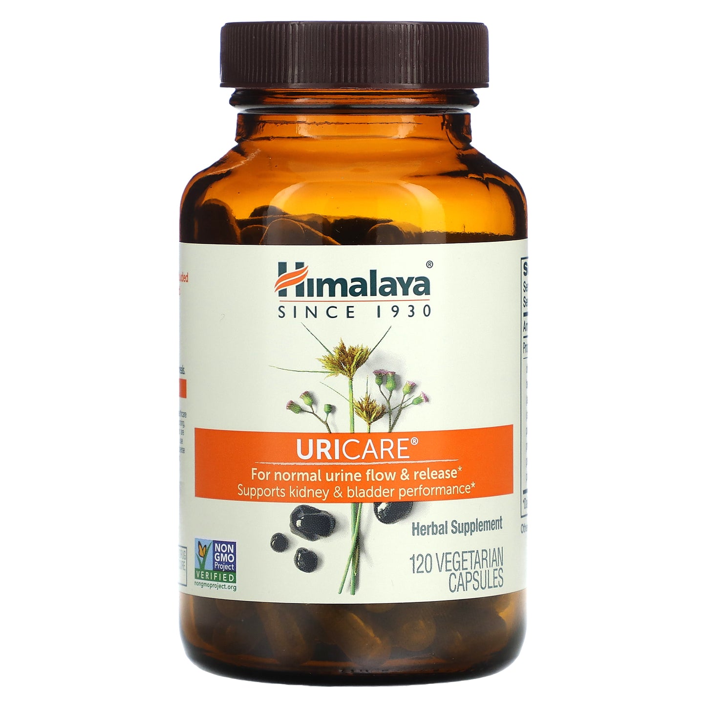 Himalaya, UriCare, 120 Vegetarian Capsules