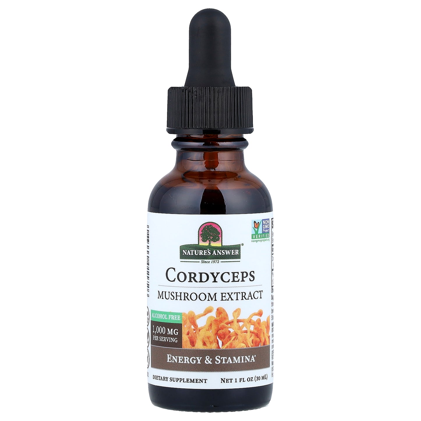 Nature's Answer, Cordyceps, Mushroom Extract, Alcohol Free, 1 fl oz (30 ml)