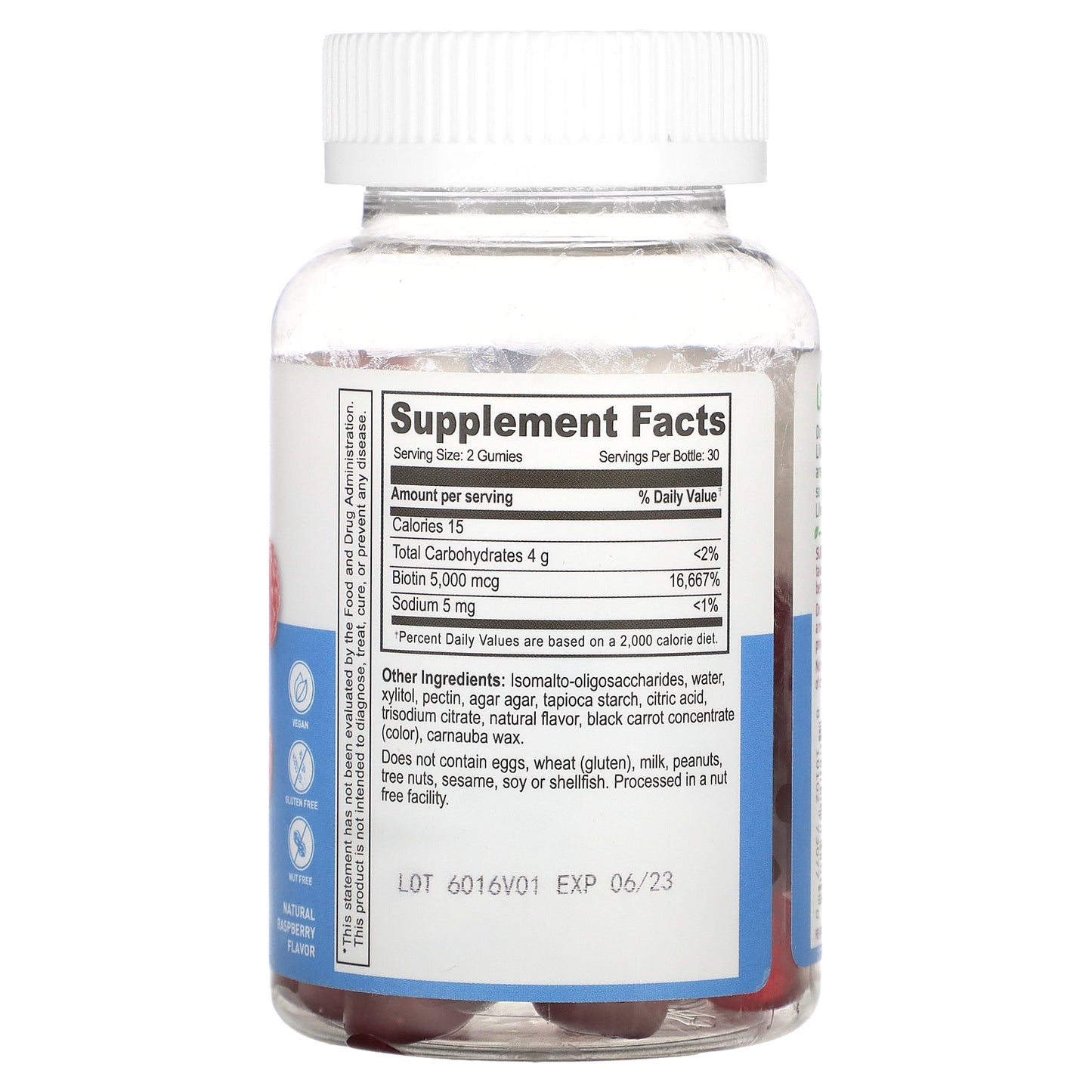 Lifeable, Biotin Gummies, Sugar Free, Natural Raspberry, 60 Gummies (2,500 mcg per Gummy)