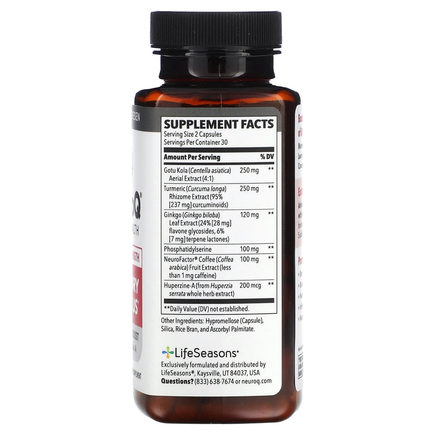 LifeSeasons, NeuroQ Brain Health, Memory & Focus, 60 Veg Capsules