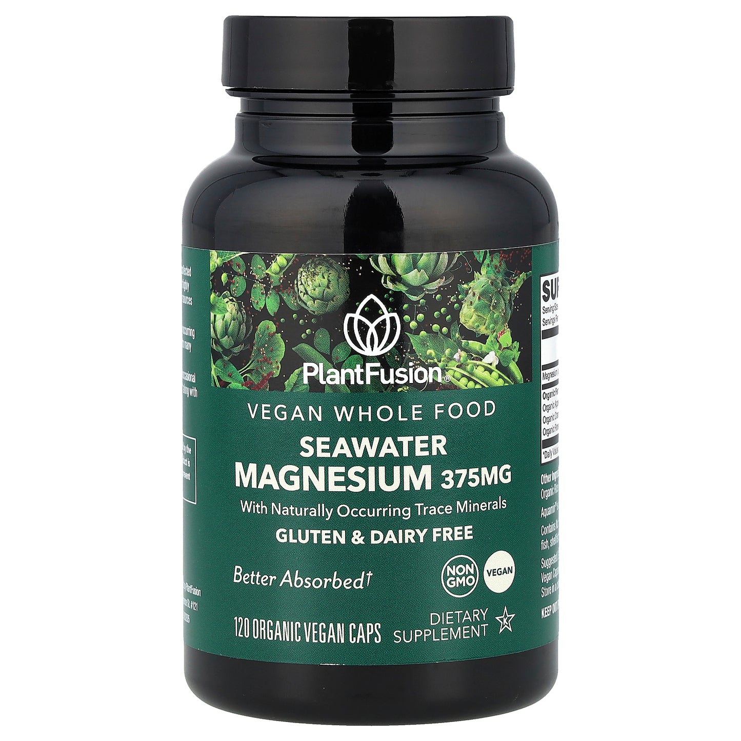 PlantFusion, Seawater Magnesium, 120 Organic Vegan Caps