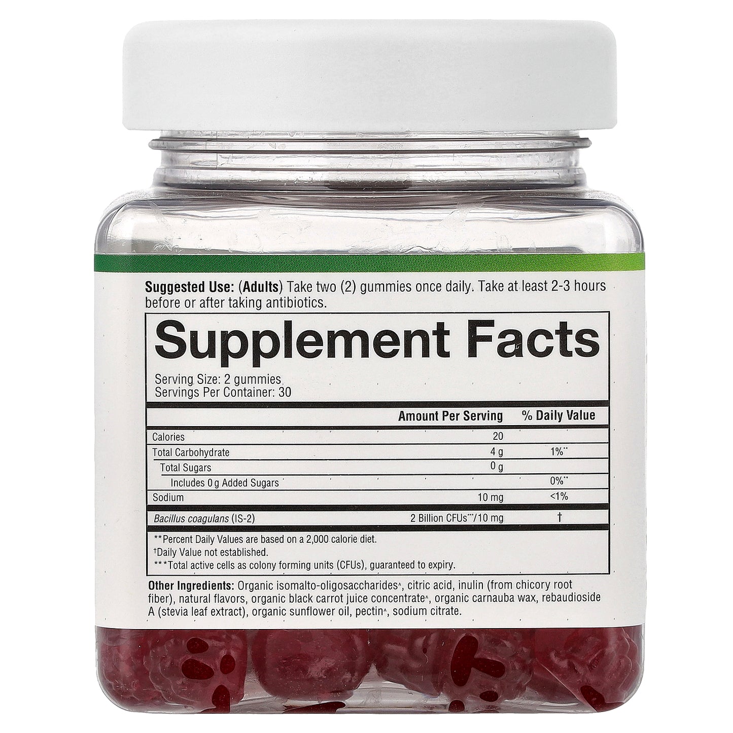 Youtheory, Spore Probiotic Gummies, Raspberry, 60 Gummies