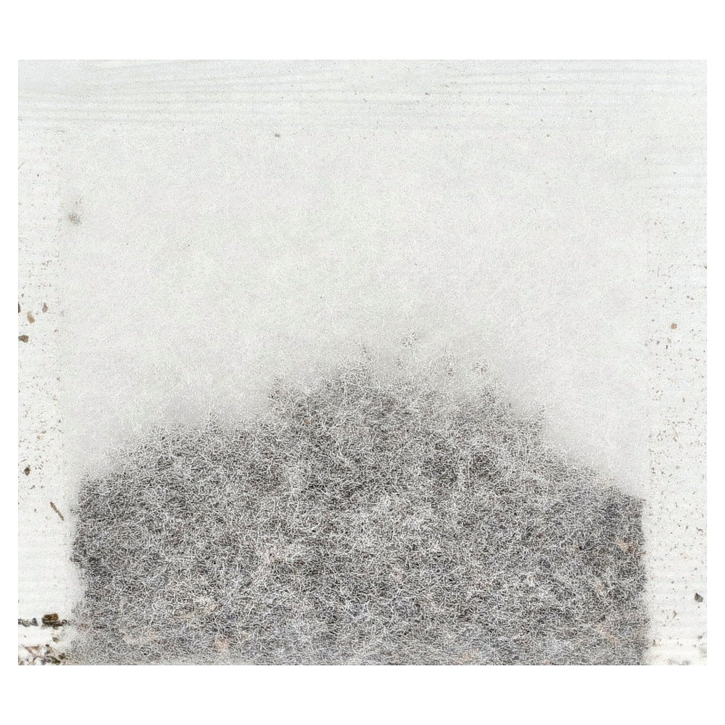 Bio Nutrition, Green Tea, 30 Tea Bags, 1.9 oz (53.9 g)