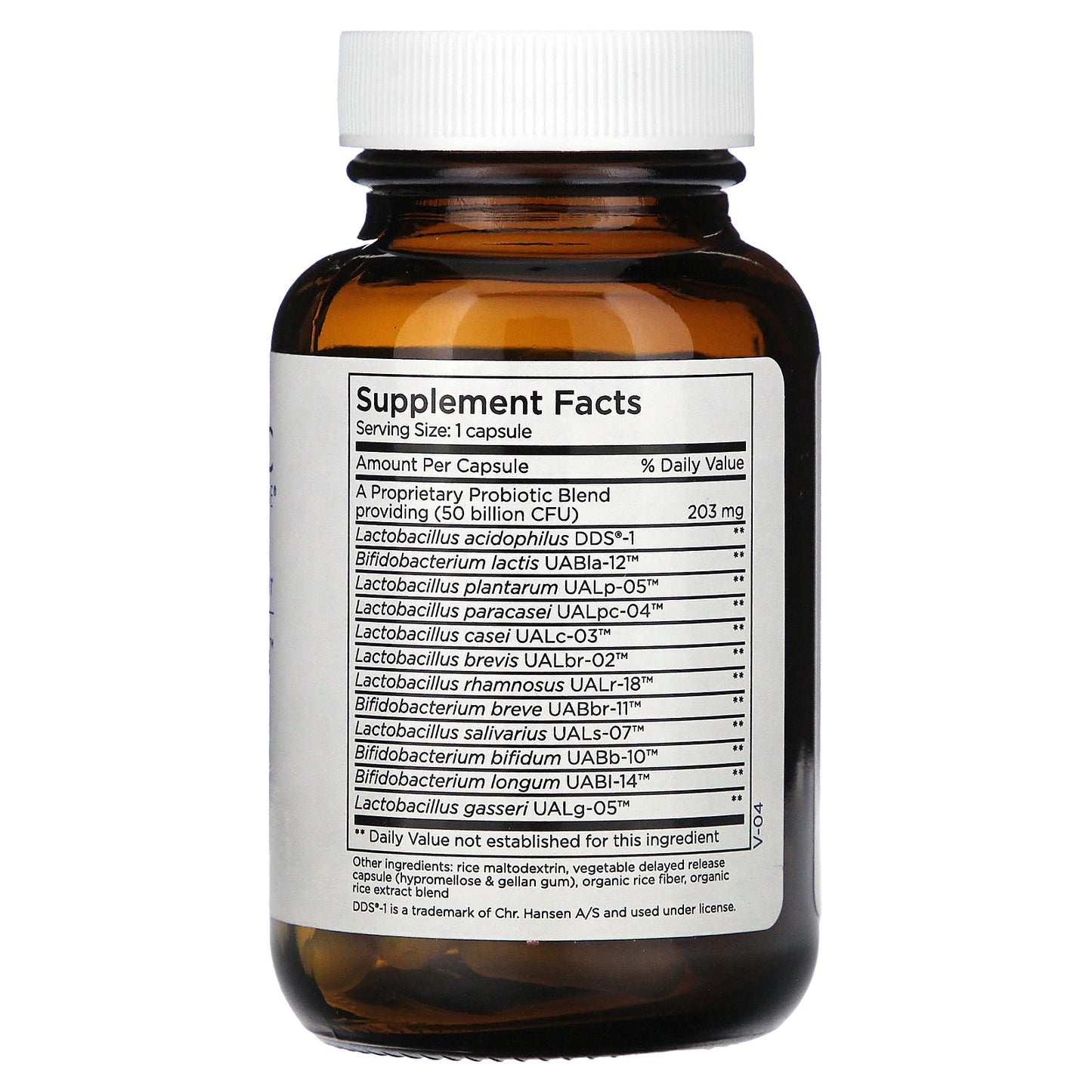 Metabolic Maintenance, BioMaintenance, Shelf Stable Probiotic, 60 Capsules