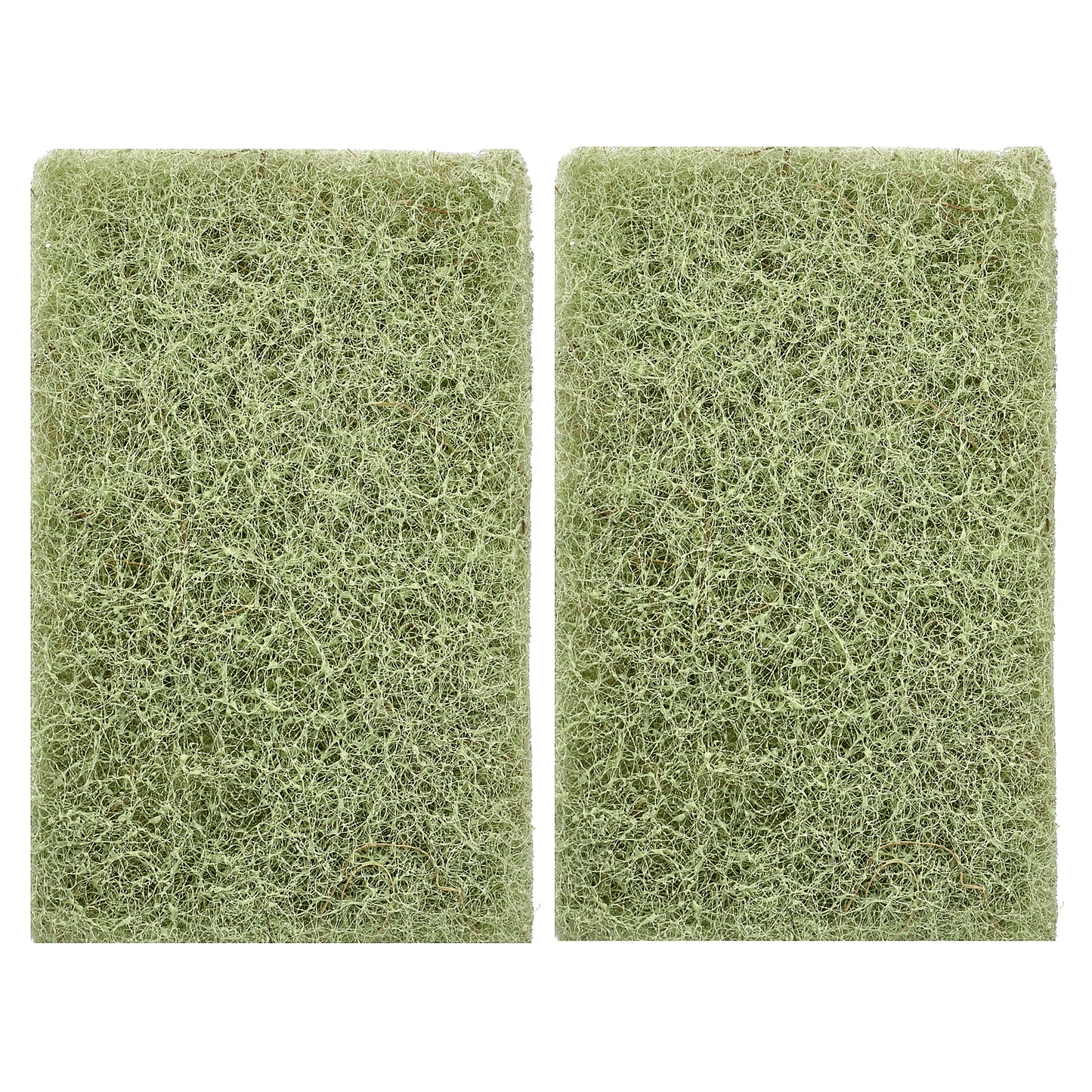 Full Circle, Agave Leaf Scrubber Sponge, 2 Pack