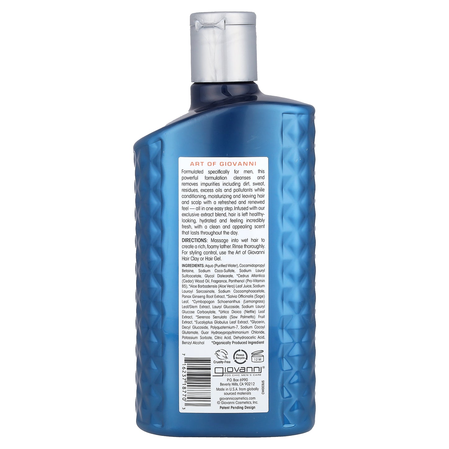 Art Of Giovanni, Men, 2-In-1 Daily Shampoo & Conditioner with Ginseng and Eucalyptus, 16.9 fl oz (499 ml)