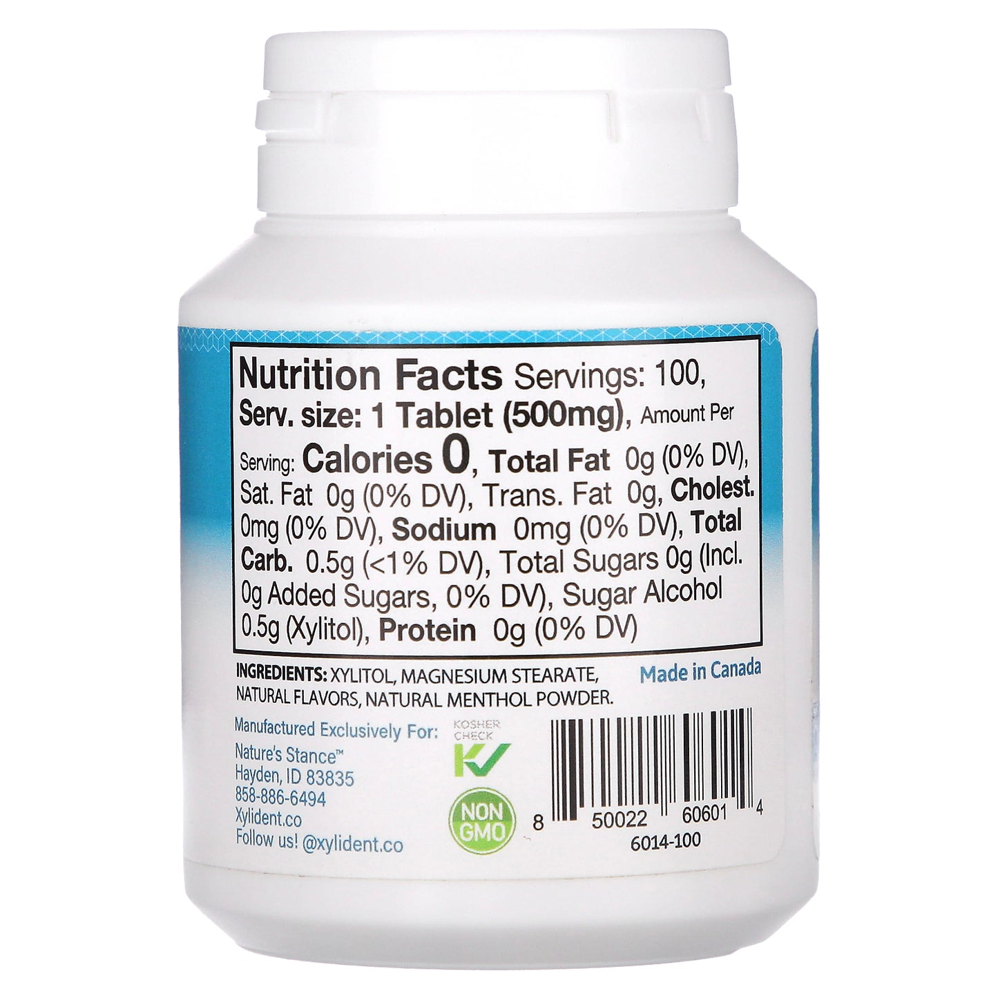 XyliDENT, Dry Mouth, Moisturizing Tablets with Xylitol, Wintergreen, 100 Tablets, 1.76 oz (50 g)