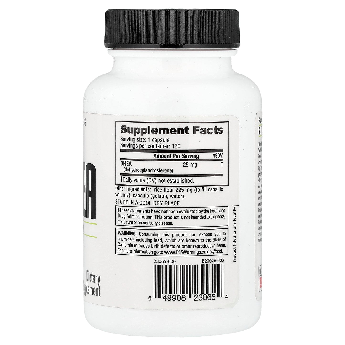 NutraBio, DHEA, 25 mg, 120 Capsules