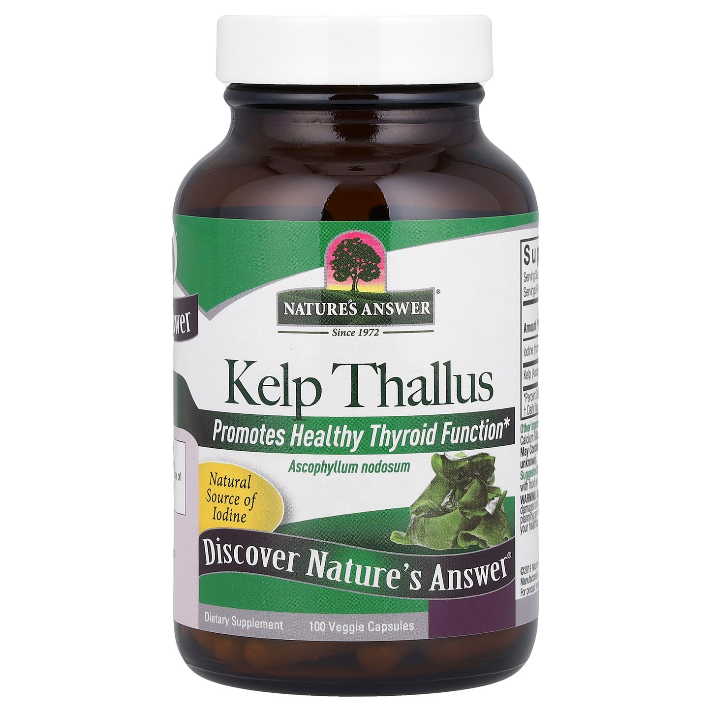 Nature's Answer, Kelp Thallus, 100 Veggie Capsules (250 mg per Capsule)