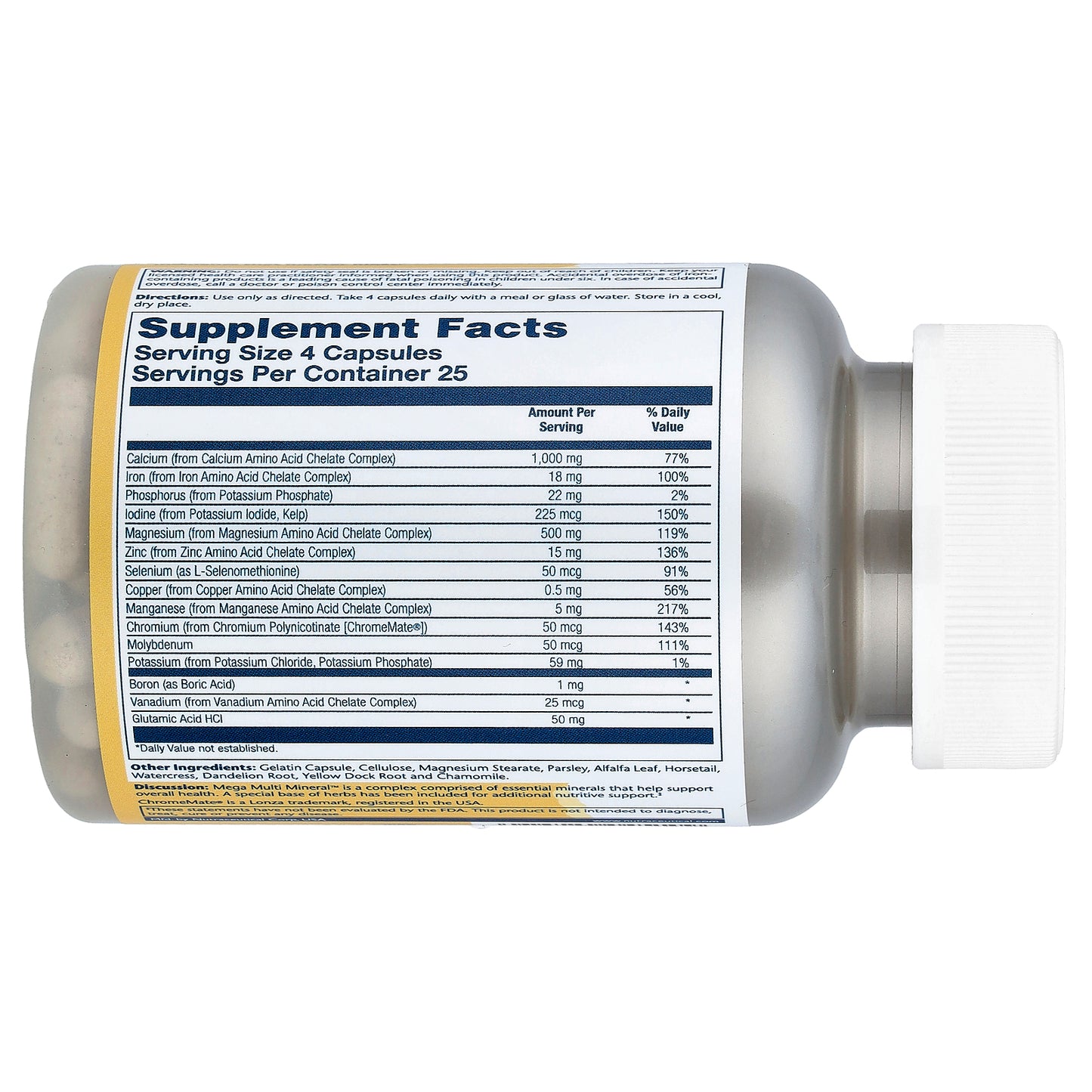 Solaray, Mega Multi Mineral™, 100 Capsules