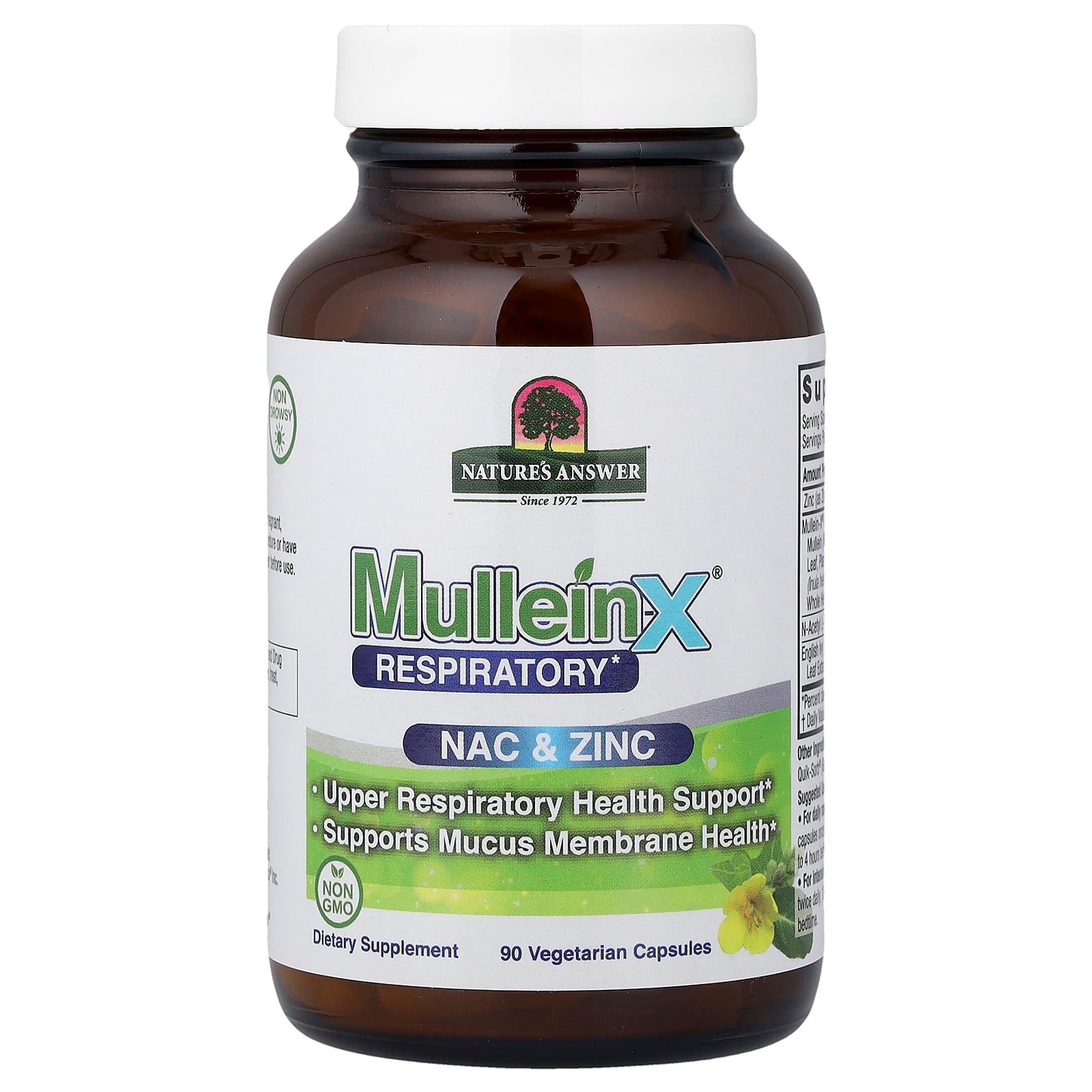Nature's Answer, MulleinX® Respiratory, NAC & Zinc, 90 Vegetarian Capsules