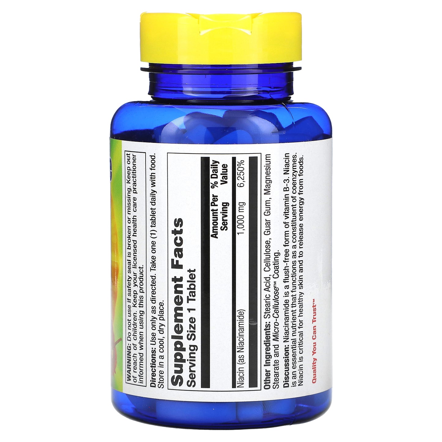 Nature's Life, Niacinamide, 1,000 mg, 100 Tablets