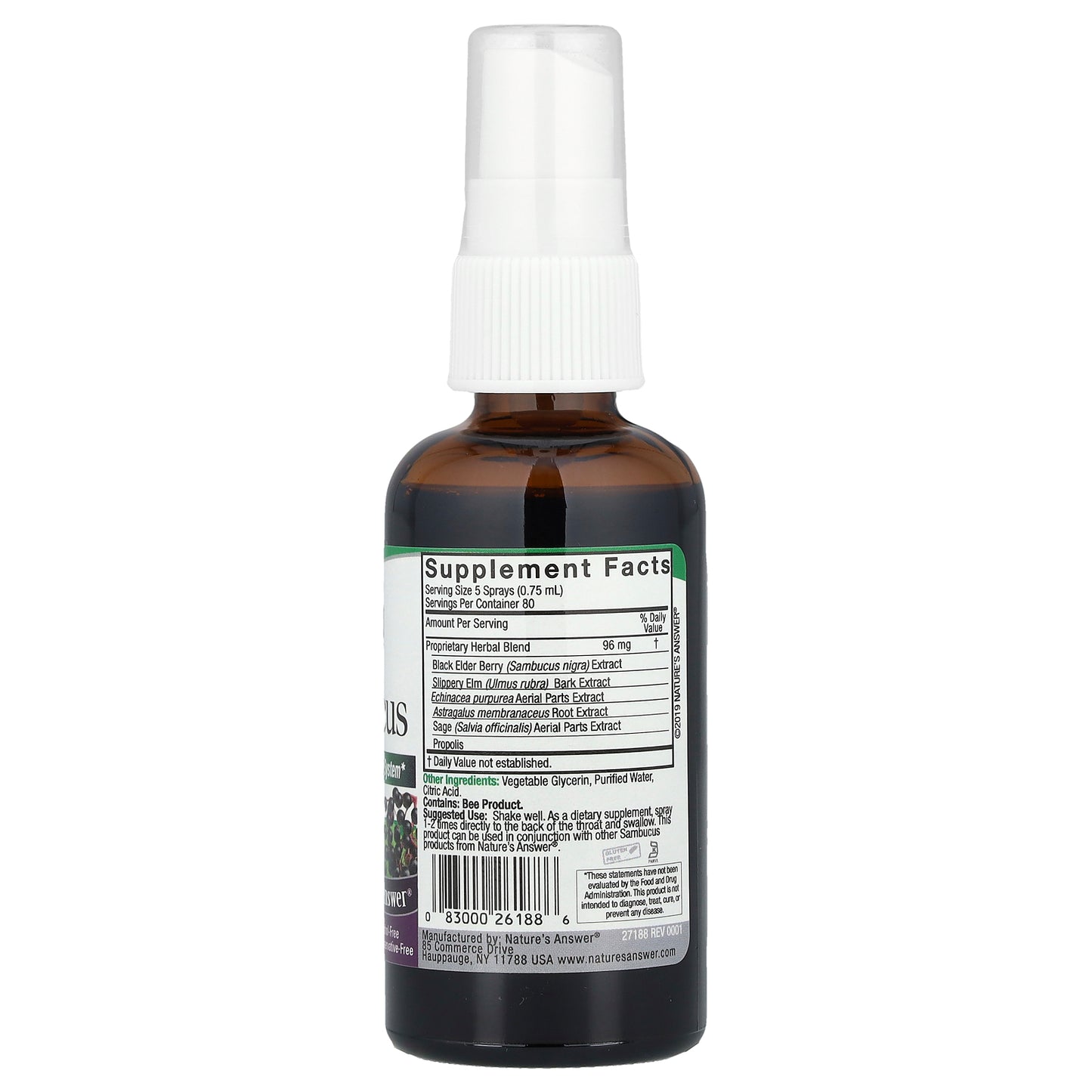 Nature's Answer, Sambucus, Black Elderberry Extract Spray, Alcohol-Free, 2 fl oz (60 ml)