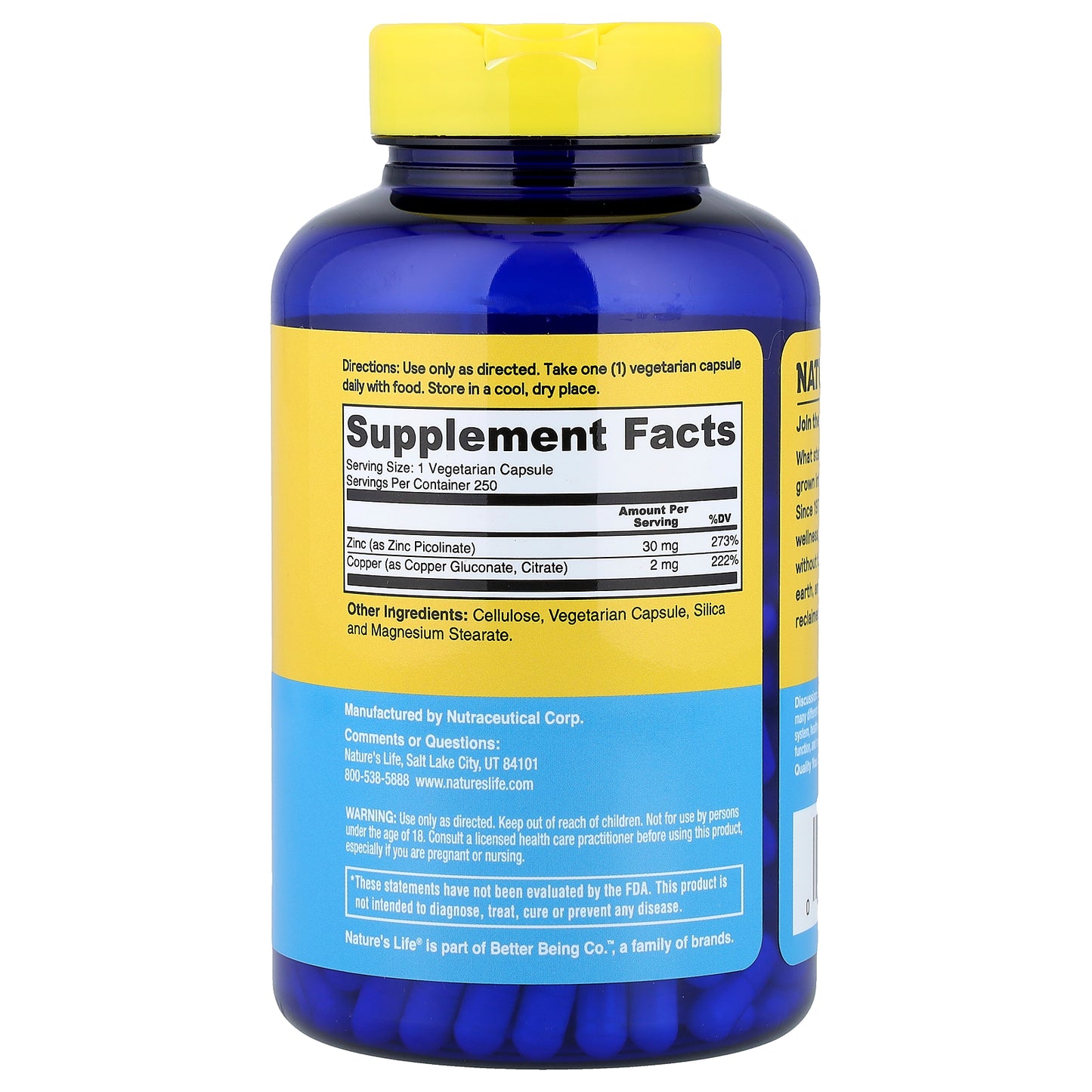 Nature's Life, Protecting Zinc Plus Copper, 250 Capsules