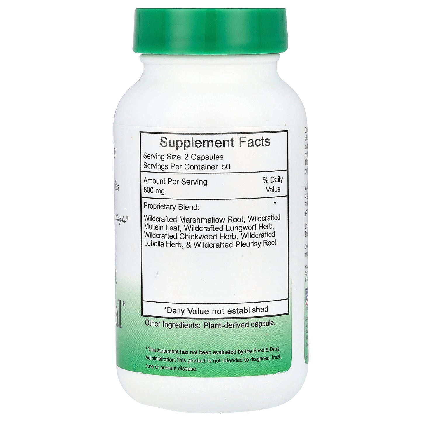 Christopher's Original Formulas, Lung & Bronchial, 100 Vegetarian Caps