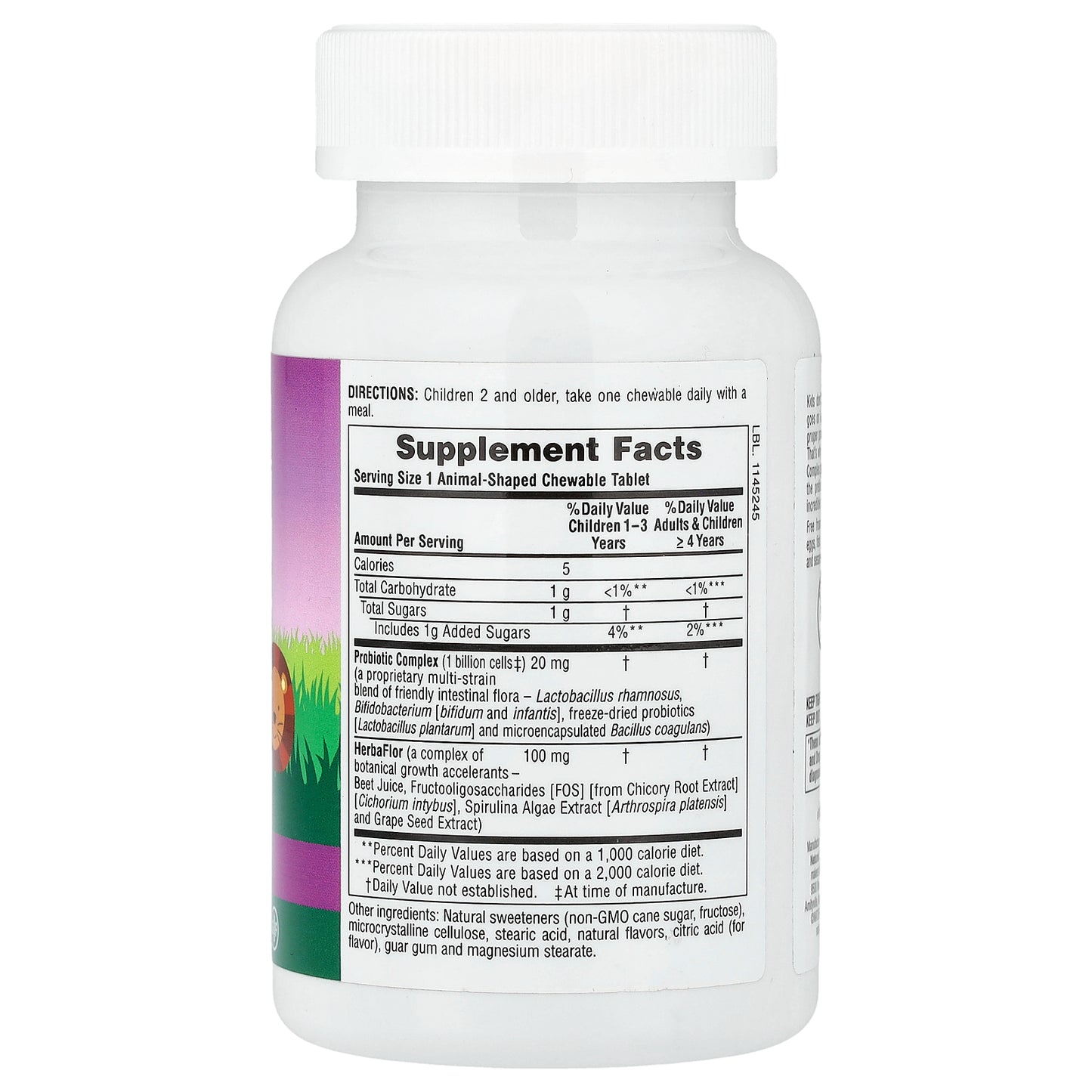 NaturesPlus, Source of Life, Animal Parade, AcidophiKidz, Children's Chewable, Berry, 90 Animal-Shaped Tablets