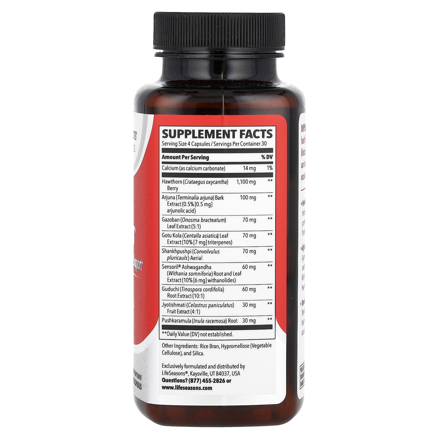 LifeSeasons, B/P Stabili-T®, Blood Pressure Support, 120 Veg Capsules