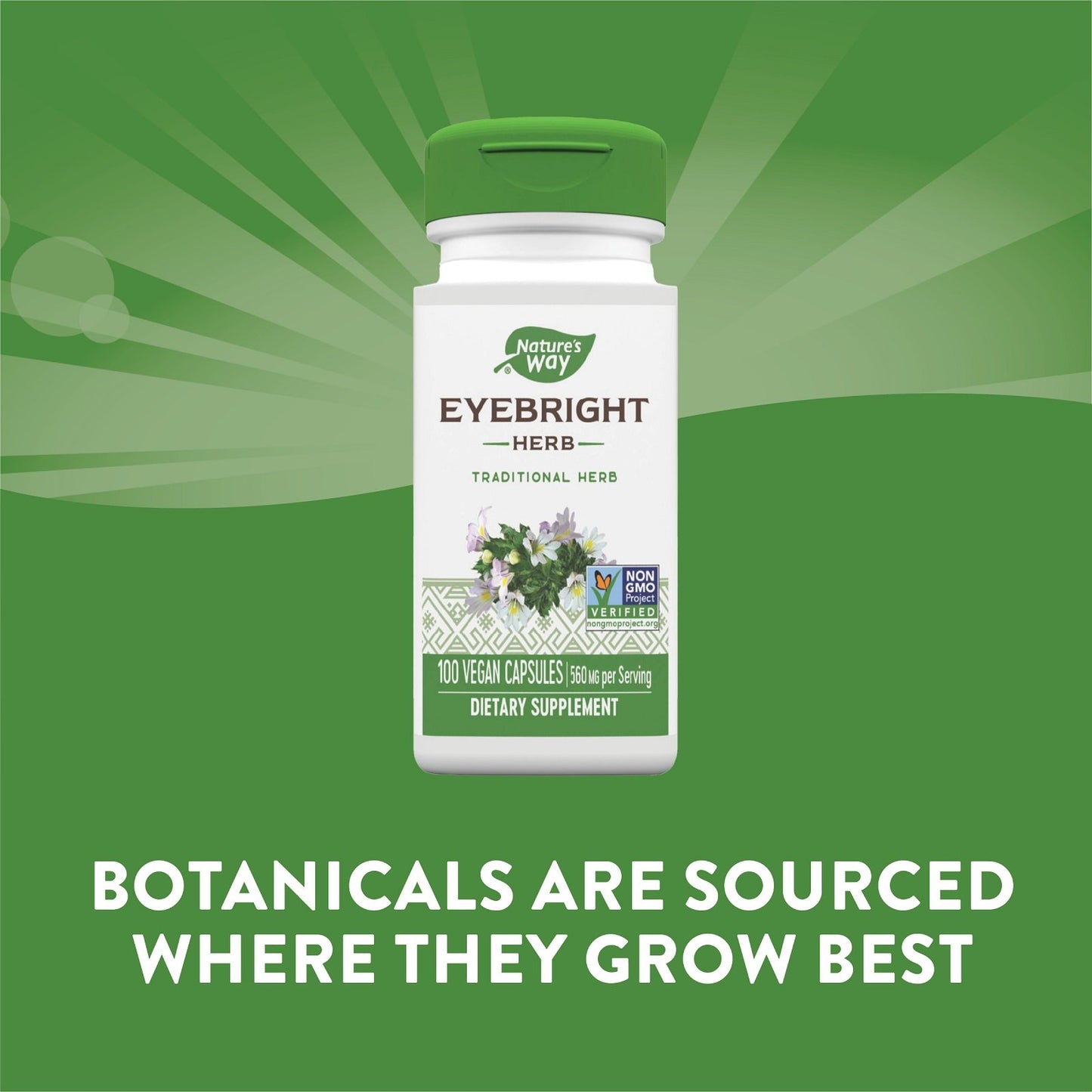 Nature's Way, Eyebright Herb, 100 Vegan Capsules (280 mg per Capsule)