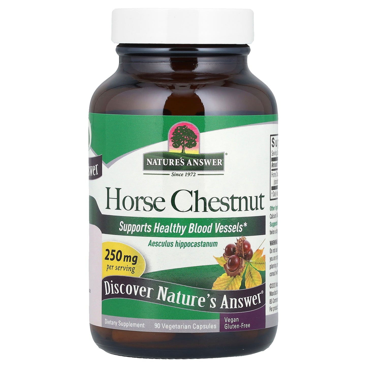 Nature's Answer, Horse Chestnut, 250 mg, 90 Vegetarian Capsules