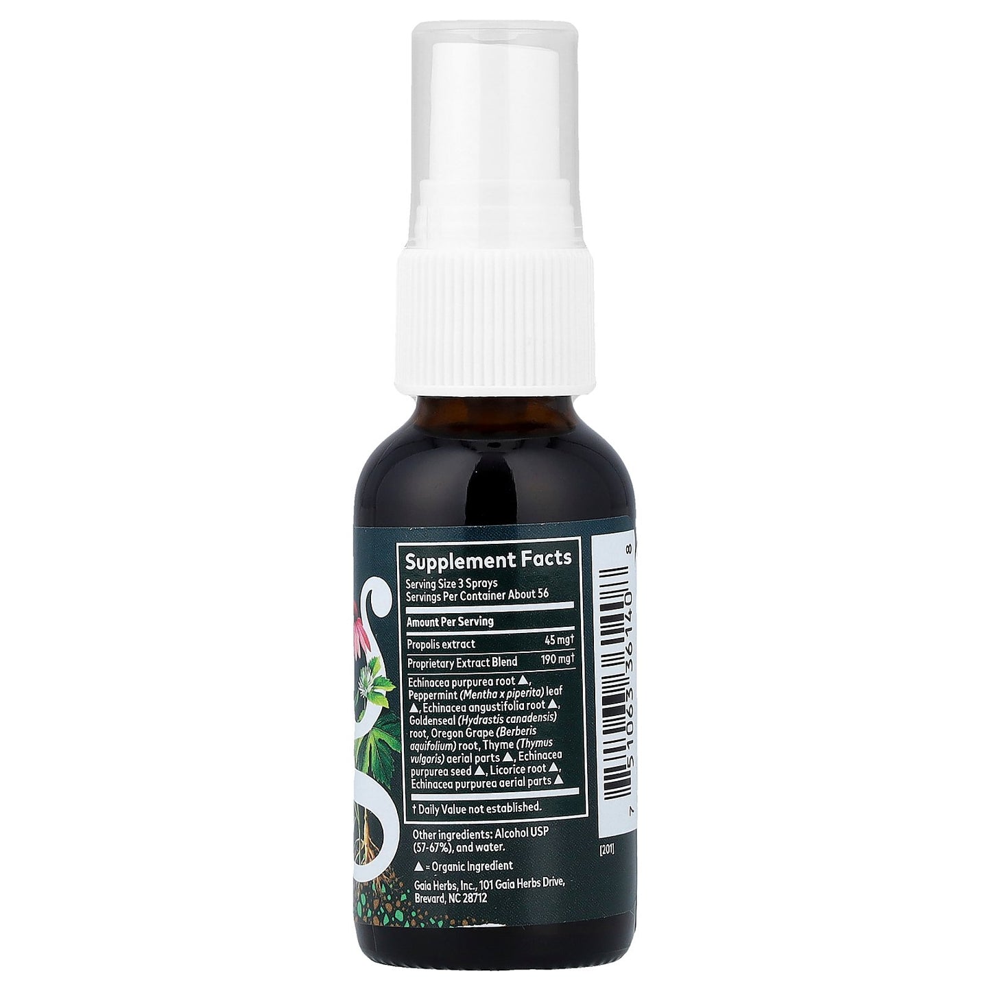 Gaia Herbs, Throat Spray, Echinacea Goldenseal Propolis, 1 fl oz (30 ml)