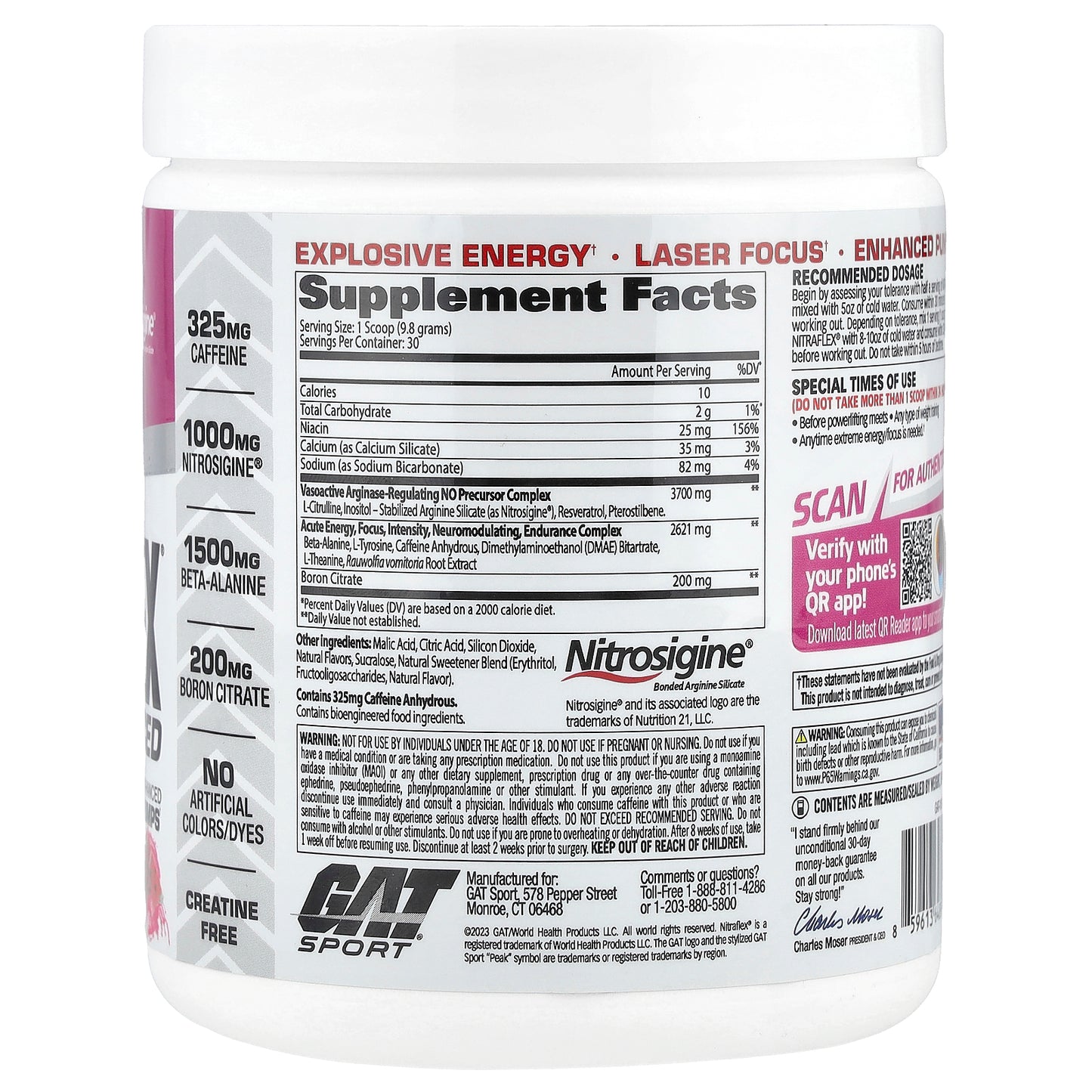 GAT, Sport, NITRAFLEX® Advanced, Watermelon, 10.4 oz (294 g)
