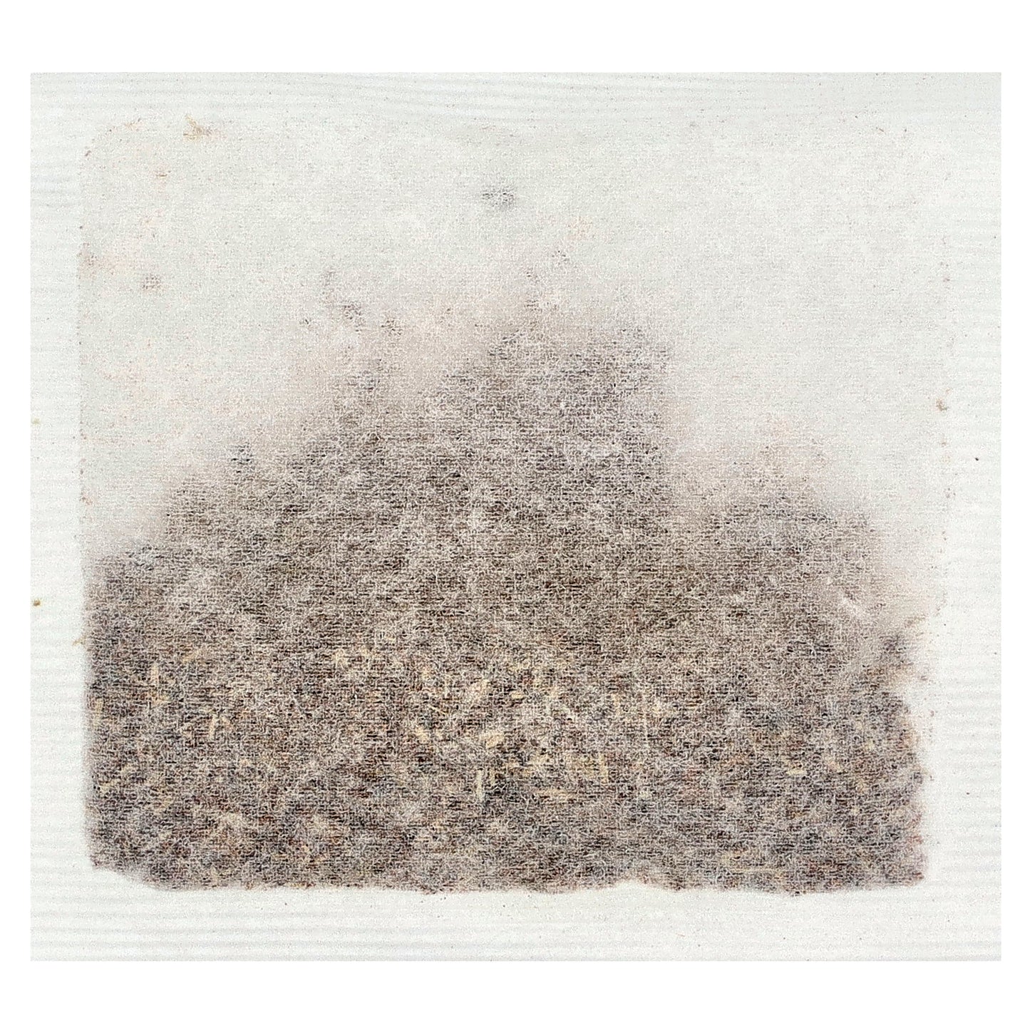 Celestial Seasonings, Herbal Tea, Cinnamon Apple Spice, Caffeine Free, 20 Tea Bags, 1.7 oz (48 g)