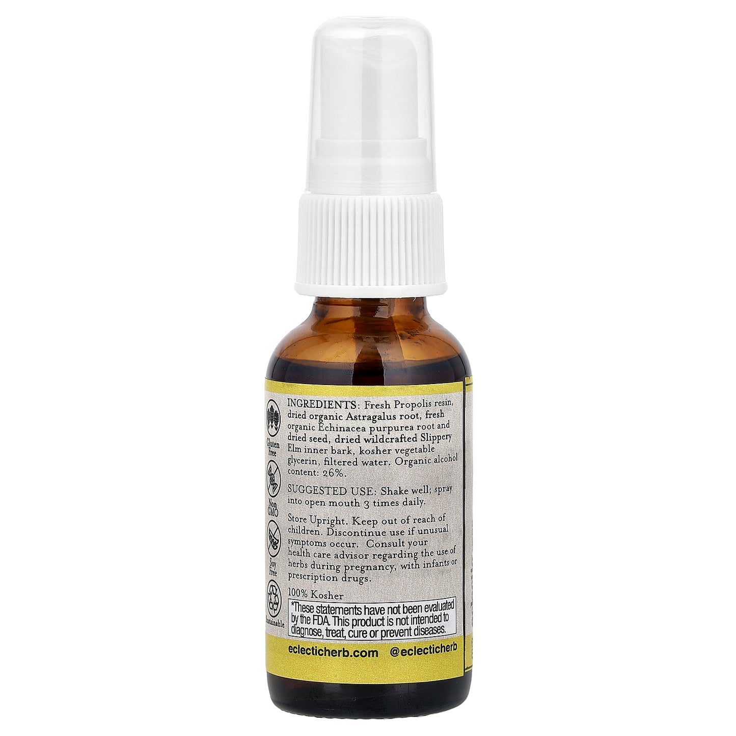 Eclectic Herb, Kid's Throat Spray, Propolis Astragalus, 1 fl oz (30 ml)