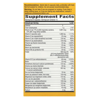 Nature's Way, Alive!® Max 6 Potency, Adult Complete Multivitamin, With Iron, 90 Capsules