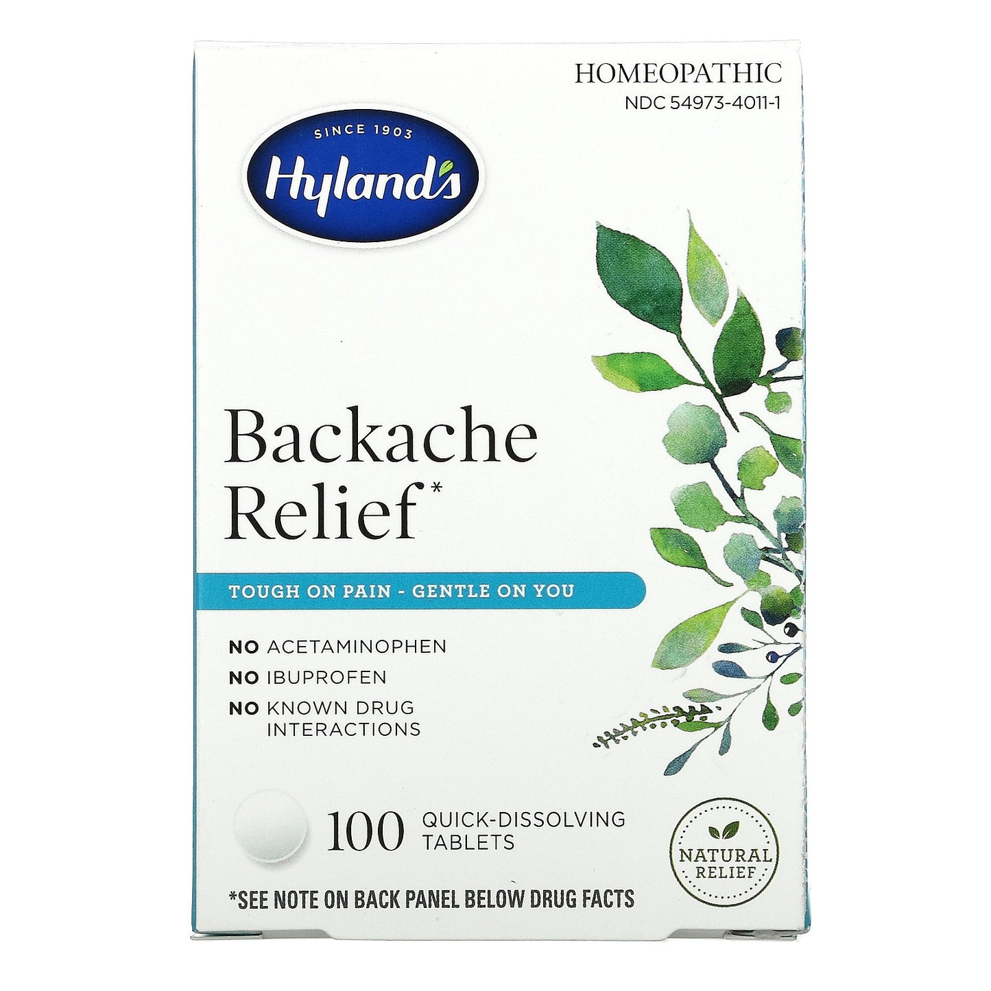 Hyland's Naturals, Backache Relief, 100 Quick-Dissolving Tablets