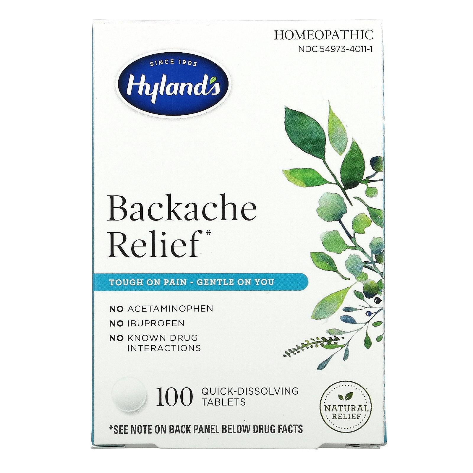 Hyland's Naturals, Backache Relief, 100 Quick-Dissolving Tablets