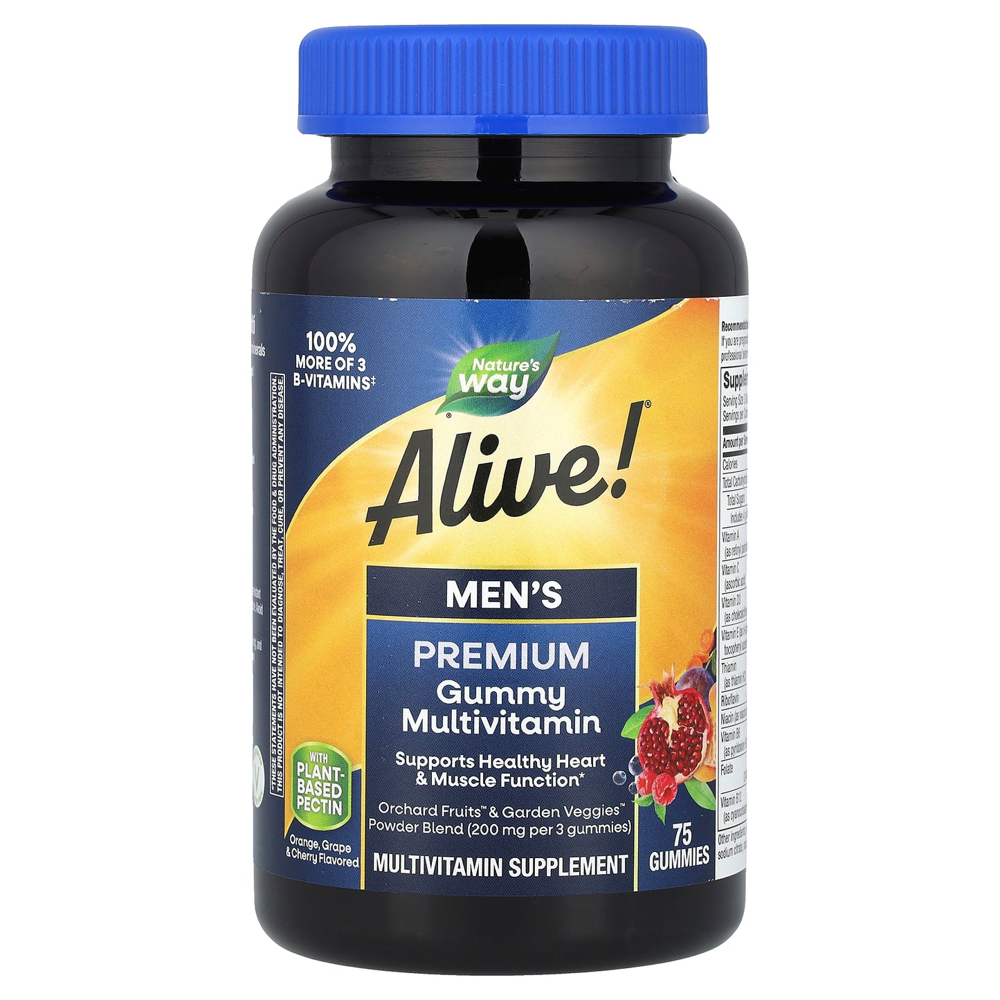 Nature's Way, Alive! Men's Premium Gummy Multivitamin, Orange, Grape & Cherry, 75 Gummies