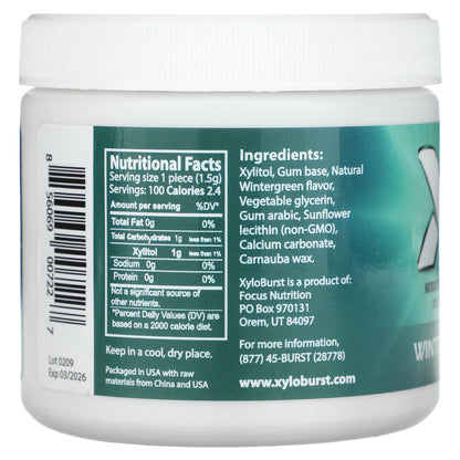 Xyloburst, Xylitol Gum, Wintermint Gum, 100 Pieces, 5.29 oz (150 g)