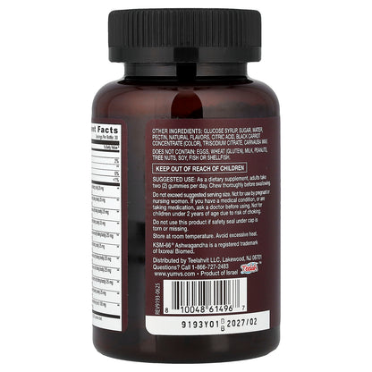 YumVs, Strong Earth™ Gummies, Mushroom & KSM-66® Ashwagandha, 60 Gummies