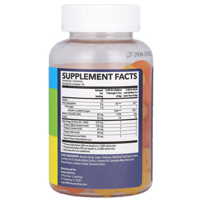 Havasu Nutrition, Omega 3 6 9 + DHA Gummies for Kids , 60 Gummies