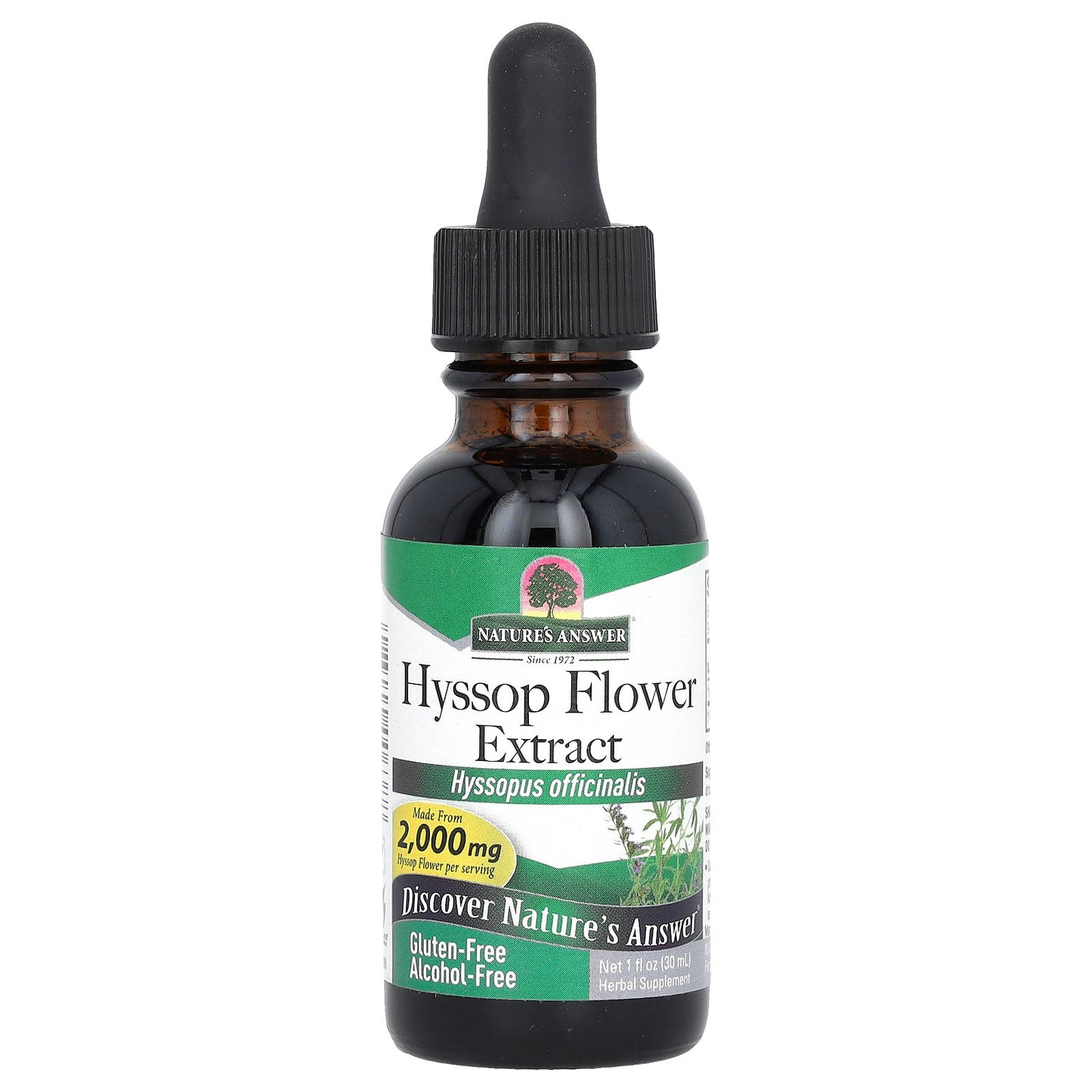 Nature's Answer, Hyssop Flower Extract, Alcohol-Free, 505 mg, 1 fl oz (30 ml)