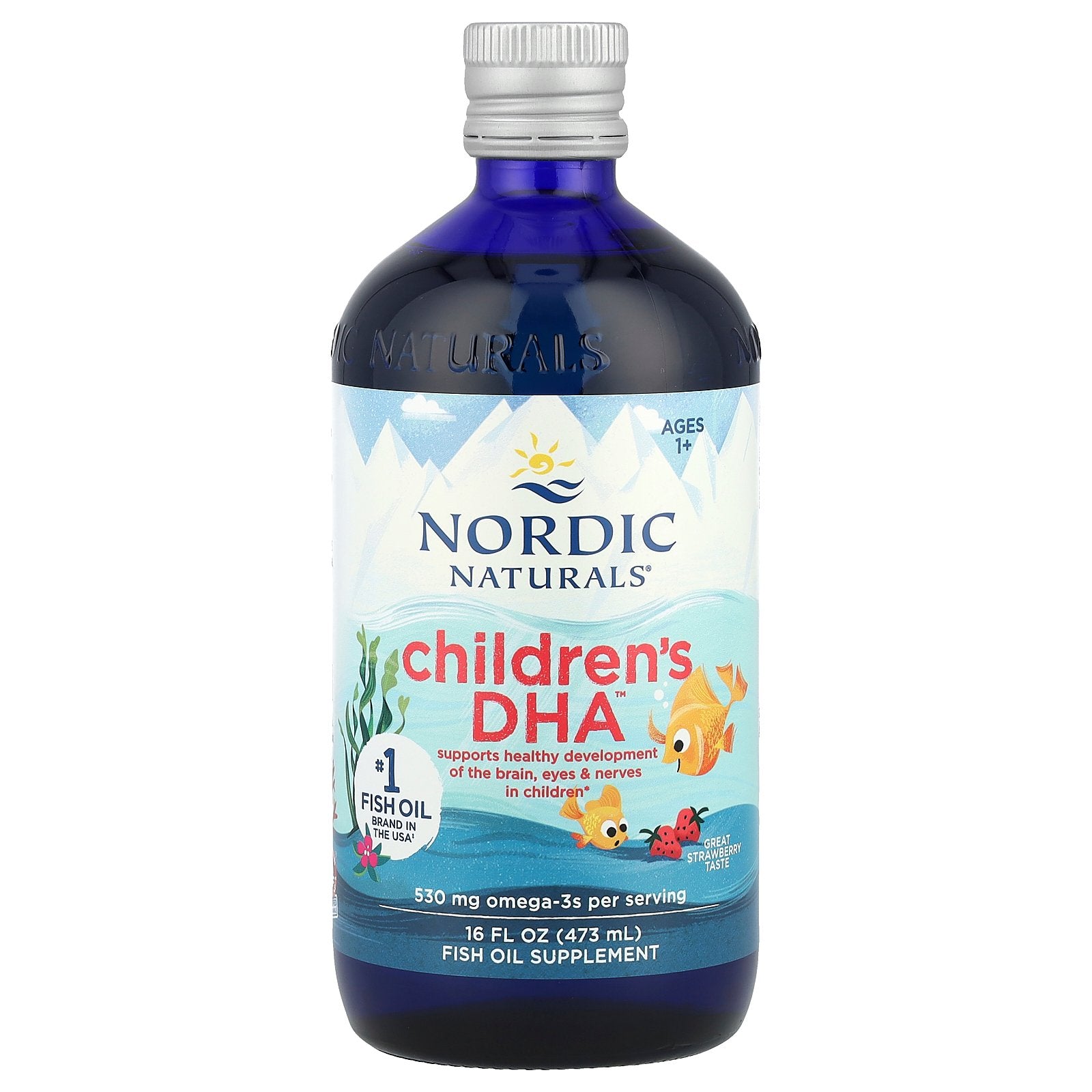 Nordic Naturals, Children's DHA™, Ages 1+, Great Strawberry, 530 mg, 16 fl oz (473 ml)