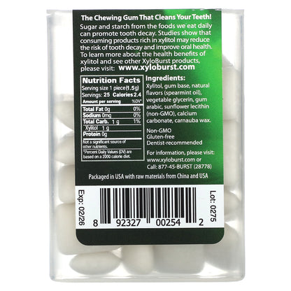 Xyloburst, Xylitol Gum, Spearmint, 25 Pieces