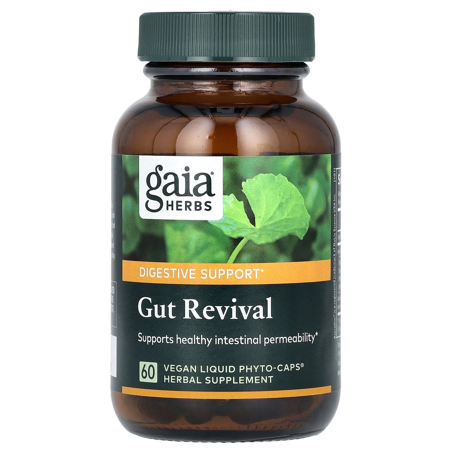 Gaia Herbs, Gut Revival, 60 Vegan Liquid Phyto-Caps