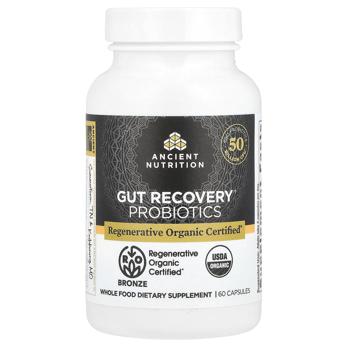 Ancient Nutrition, Gut Recovery Probiotics, 60 Capsules