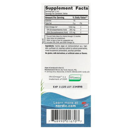 Nordic Naturals, Baby's DHA Vegetarian, 1,050 mg, 1 fl oz (30 ml)