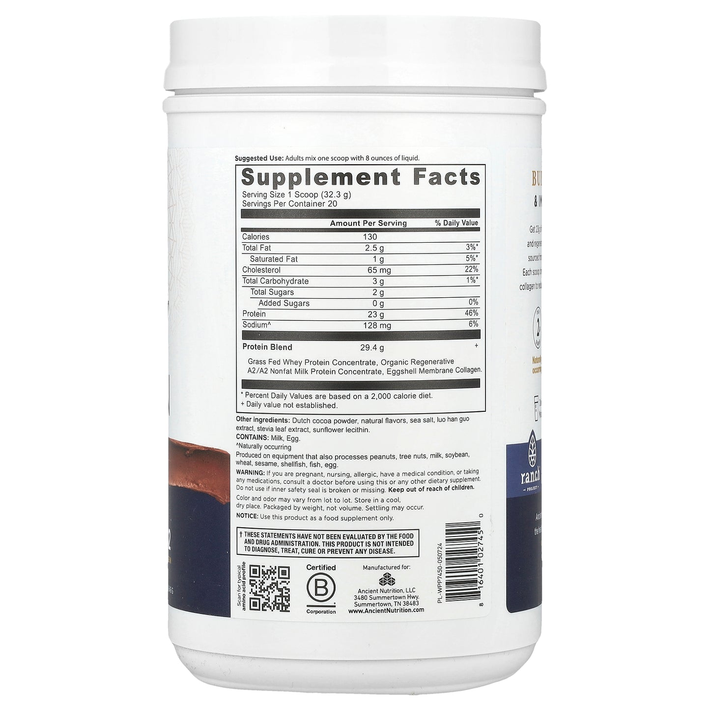 Ancient Nutrition, Whey Protein, Milk Chocolate, 1.42 lb (646 g)