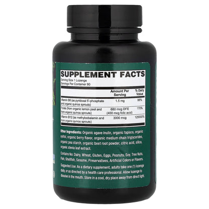 PlantFusion, Vegan Whole Food, Organic Folate + Methyl B12, Natural Berry, 60 Lozenges