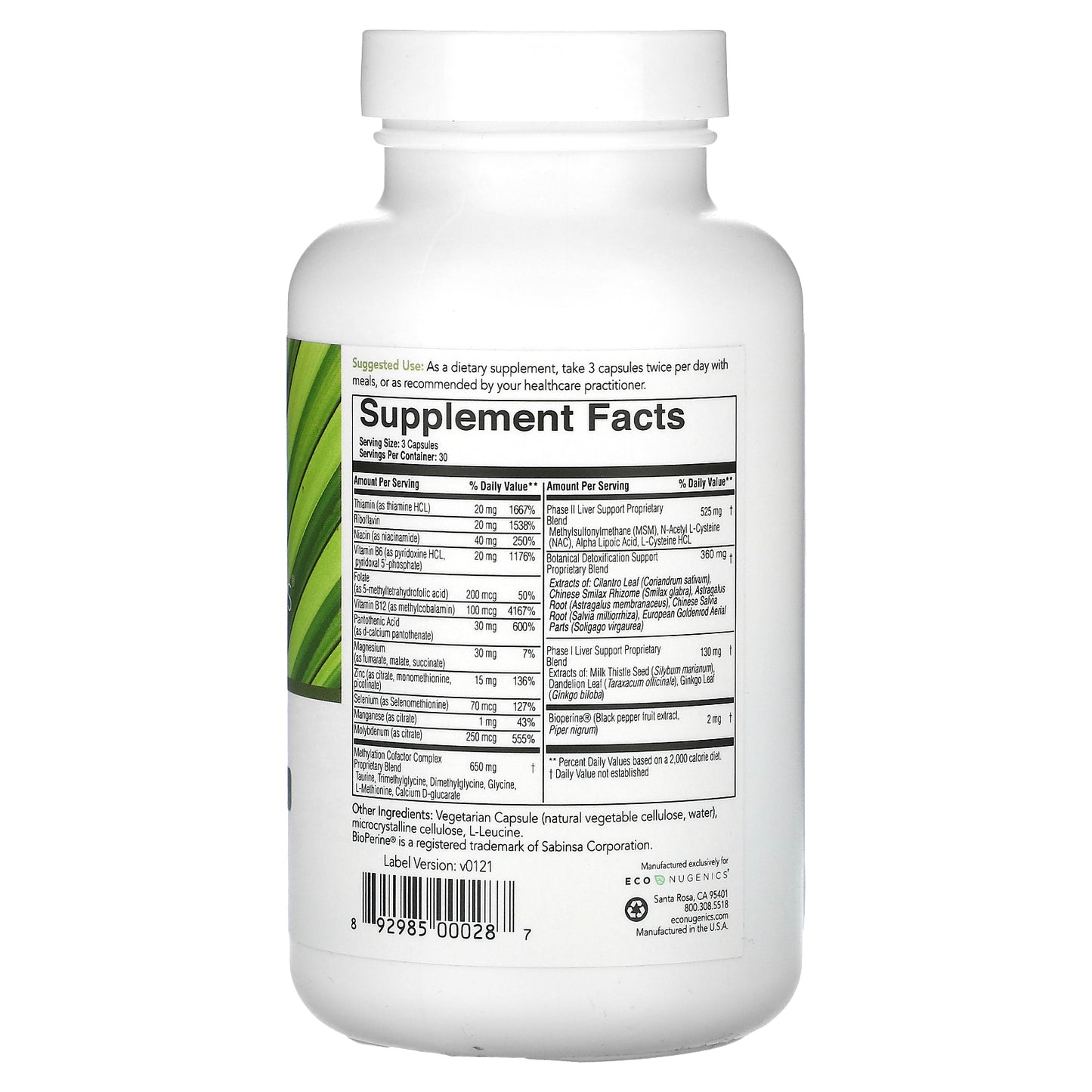 Econugenics, EcoDetox, 90 Vegetarian Capsules