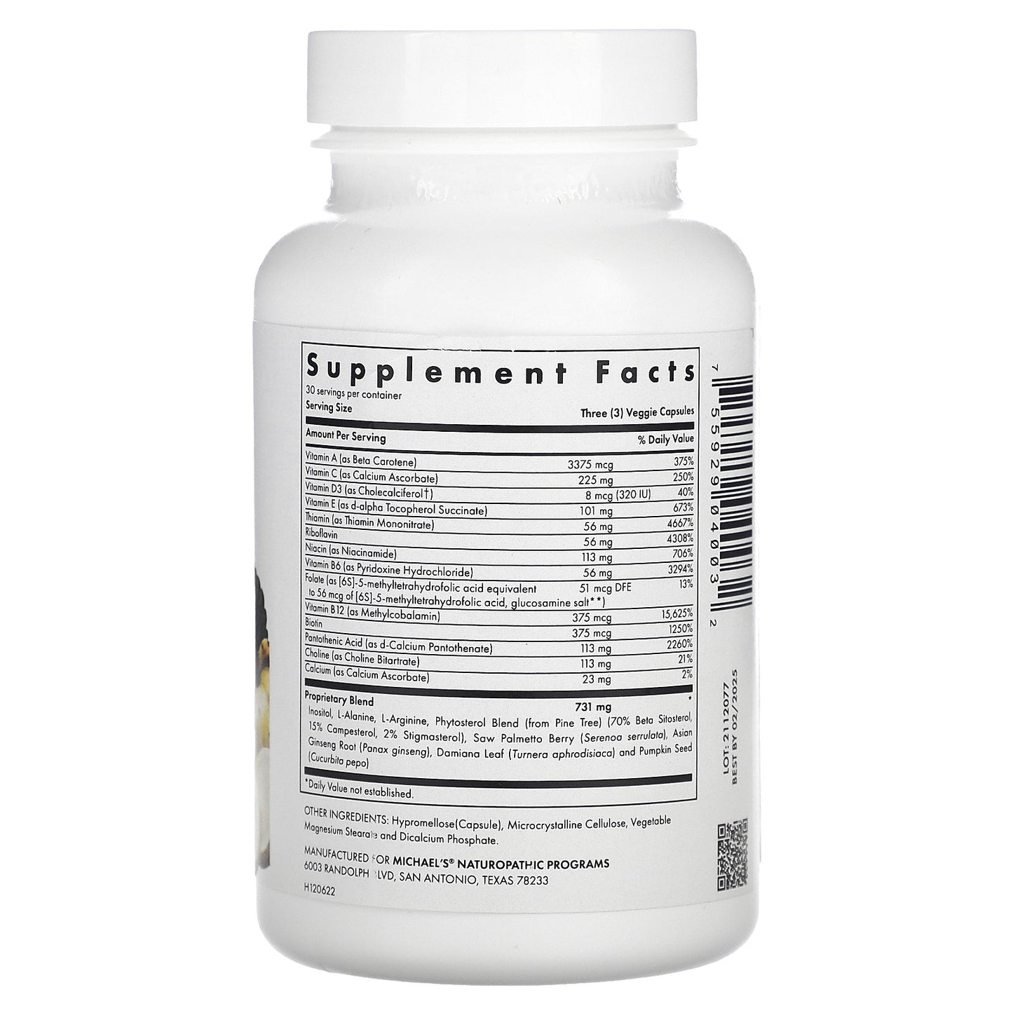 Michael's Health, For Men, Multivitamin Capsules , 90 Vegetarian Capsules