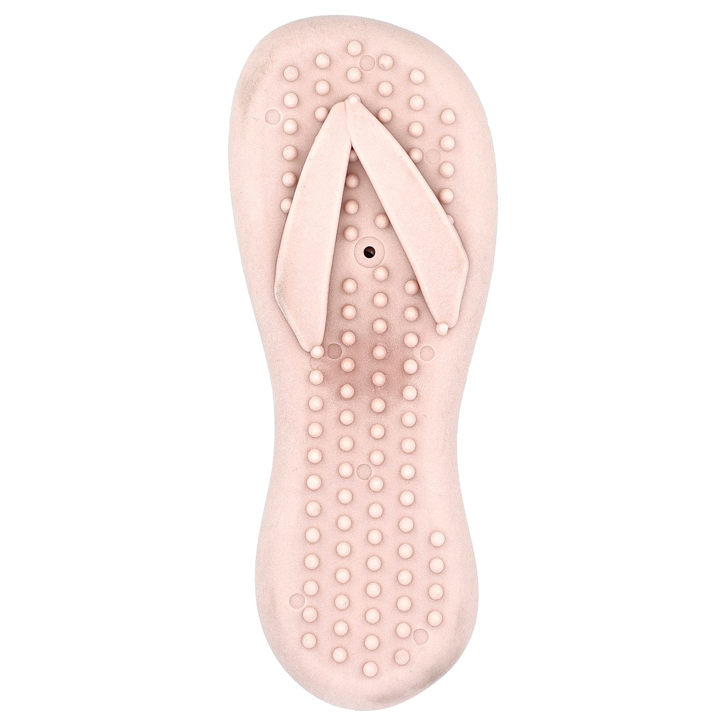 Spunky Pup, Gnaw Guard, Flip Flop, 1 Toy