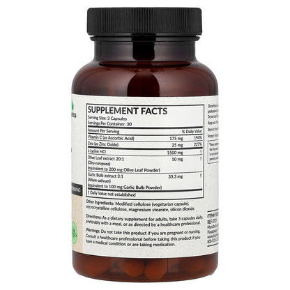 Futurebiotics, L-Lysine Defense™, 90 Vegetarian Capsules