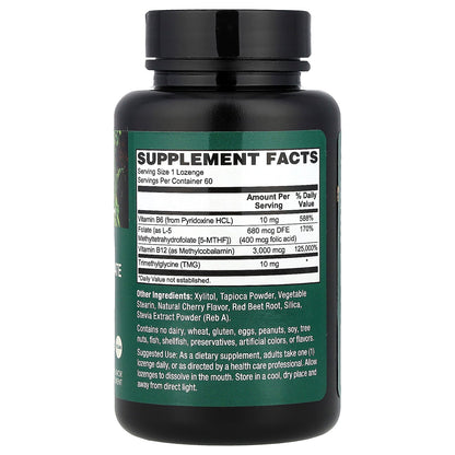 PlantFusion, Vegan Methyl B-12 + Folate, Natural Cherry, 60 Lozenges