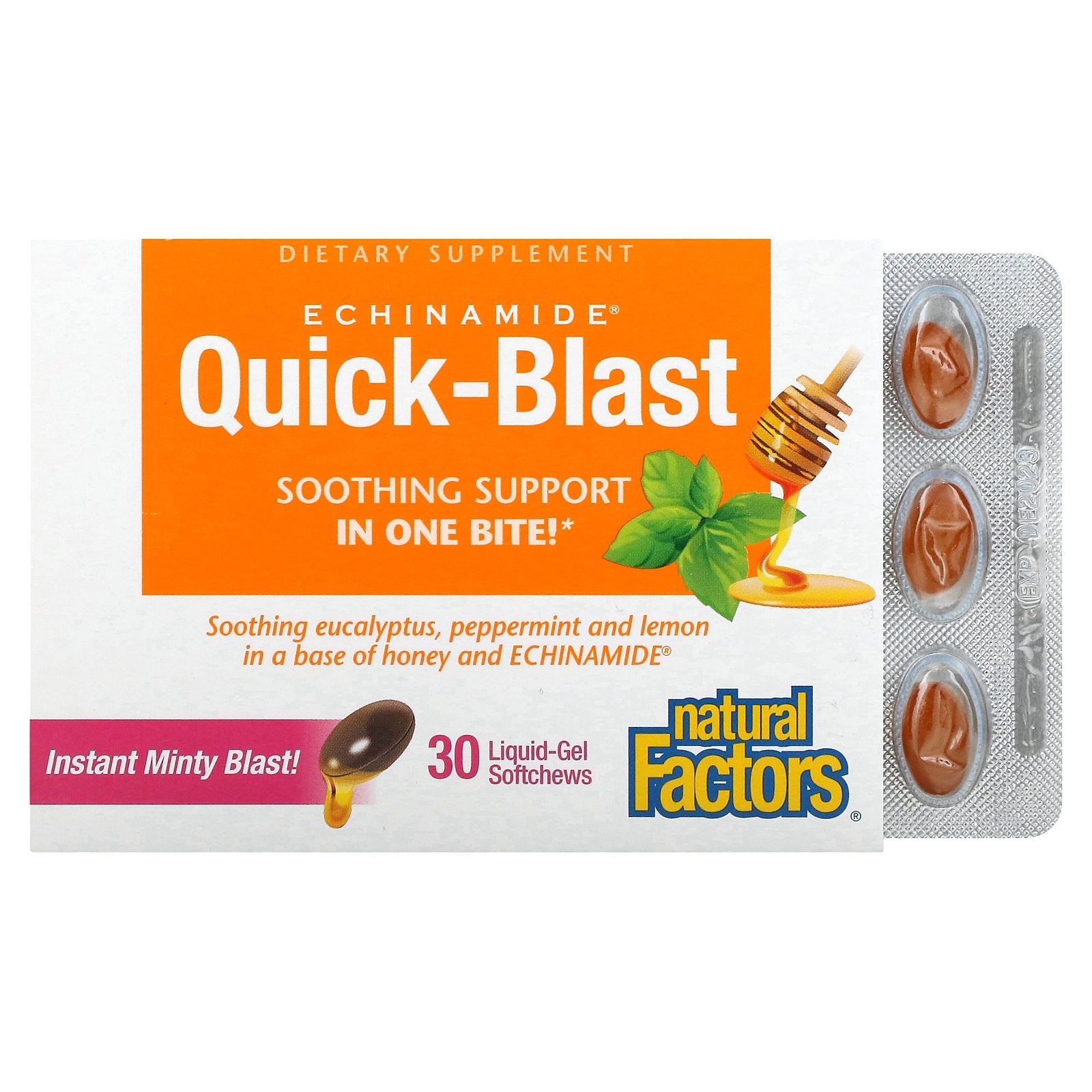 Natural Factors, Echinamide Quick-Blast, 30 Liquid-Gel Softchews