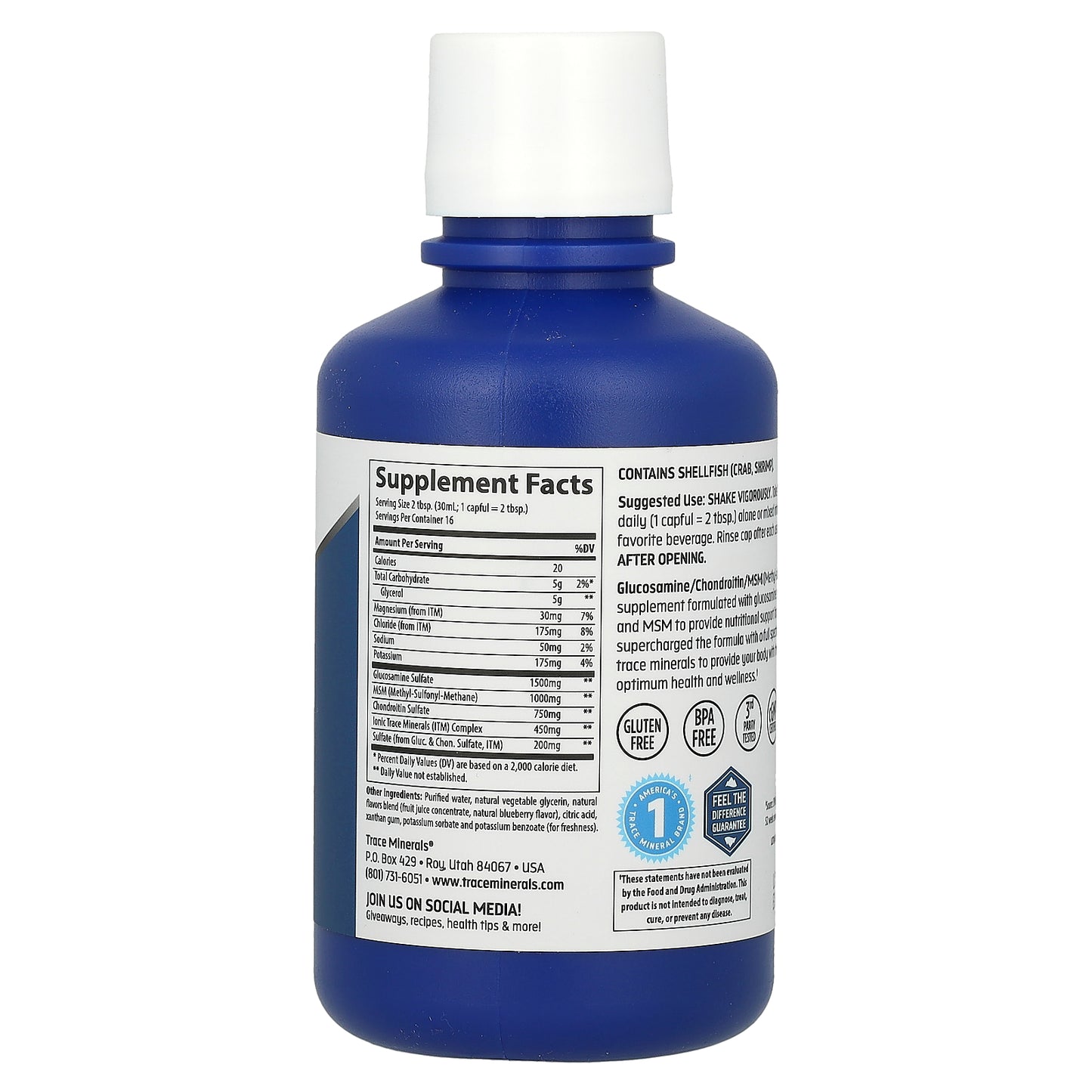 Trace, Liquid Glucosamine, Chondroitin + MSM, Blueberry, 16 fl oz (473 ml)