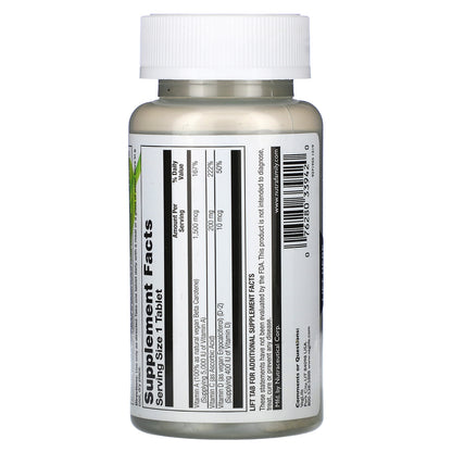 VegLife, Vegan One Multiple , 60 Tablets